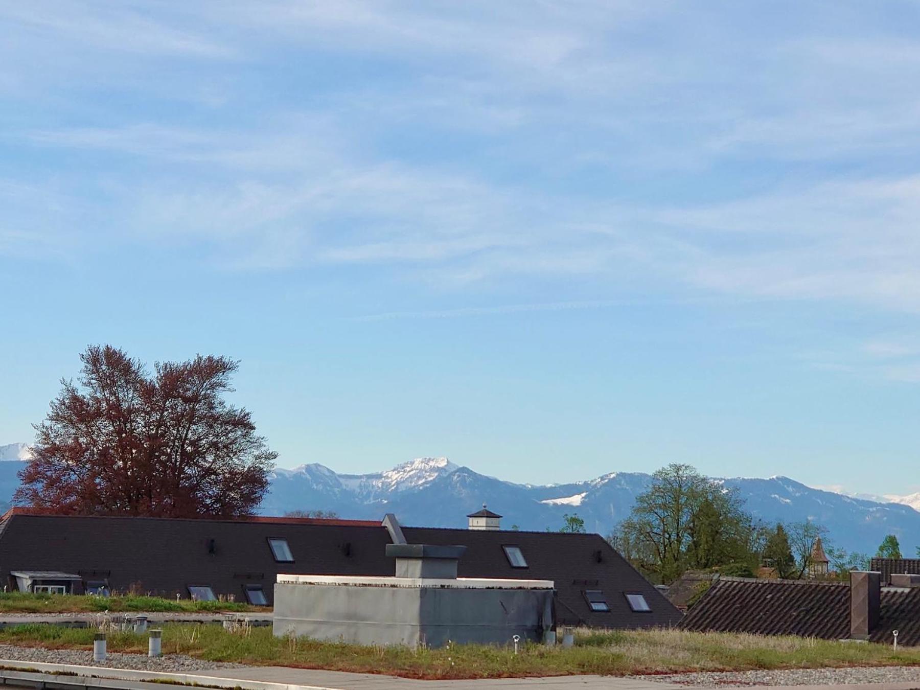 Ferienwohnung Riva - Wohlfuehloase In Ruhiger Lage Lindau  Extérieur photo